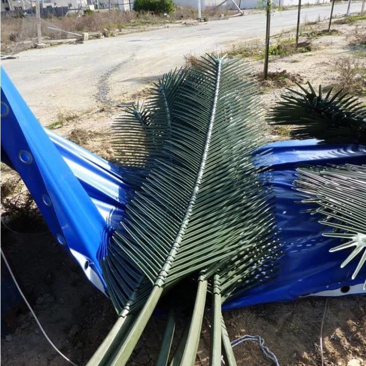 Detalle hoja palmera